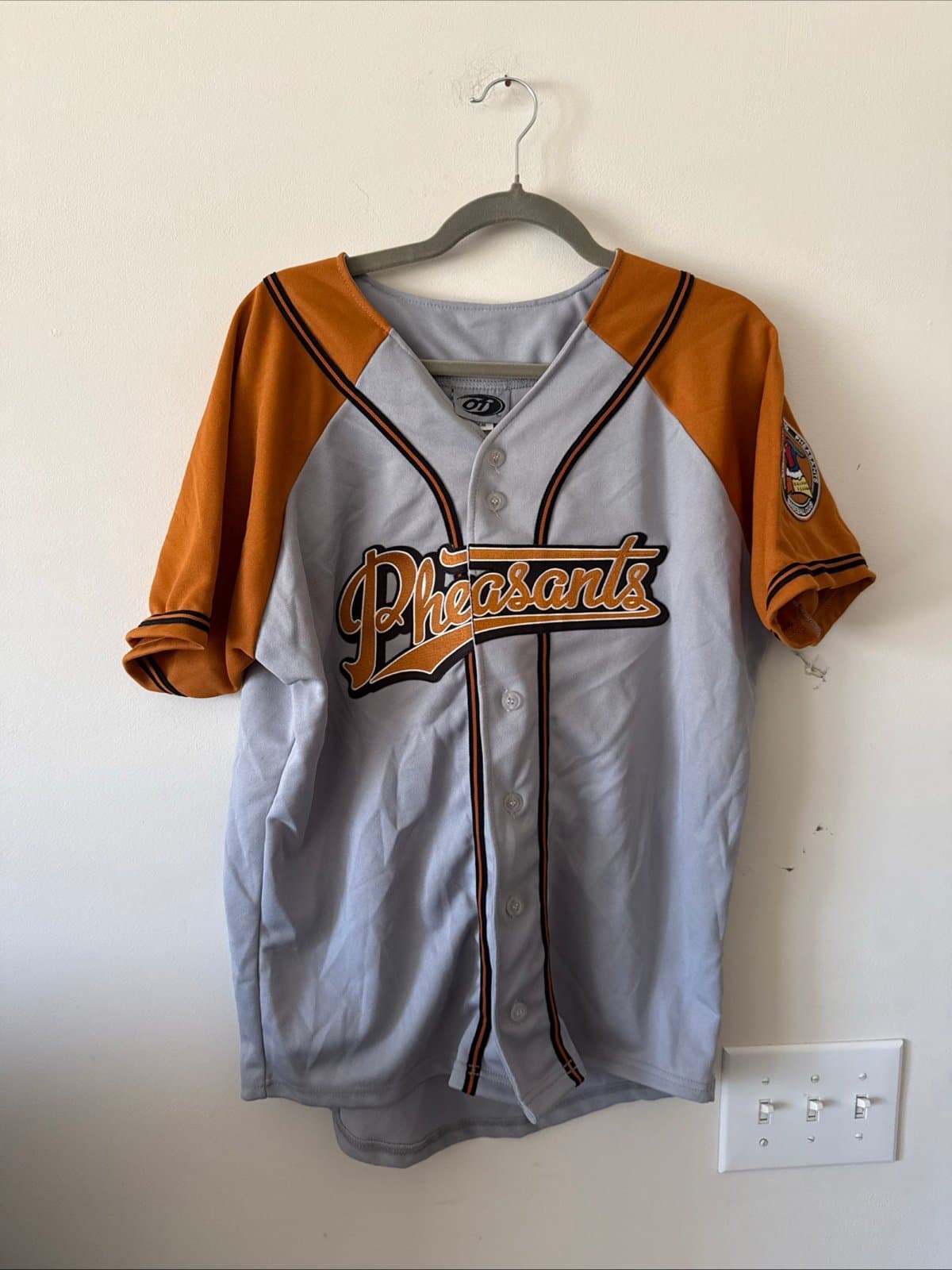 MEN’S OT SPORTS SIOUX FALLS FIGHTING PHEASANTS BASEBALL JERSEY MiLB SZ M - RARE - Image 1