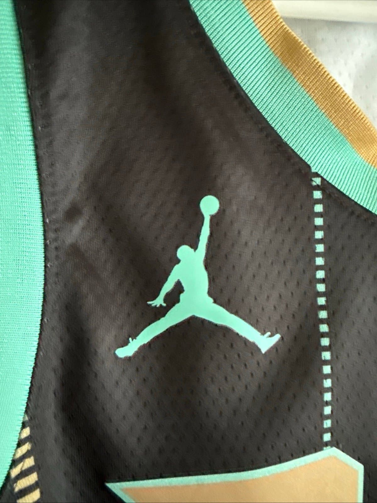 Men’s Jordan LaMelo Ball #1 Charlotte Hornets 2022/23 City Edition Jersey Sz 48 - Thumbnail 5