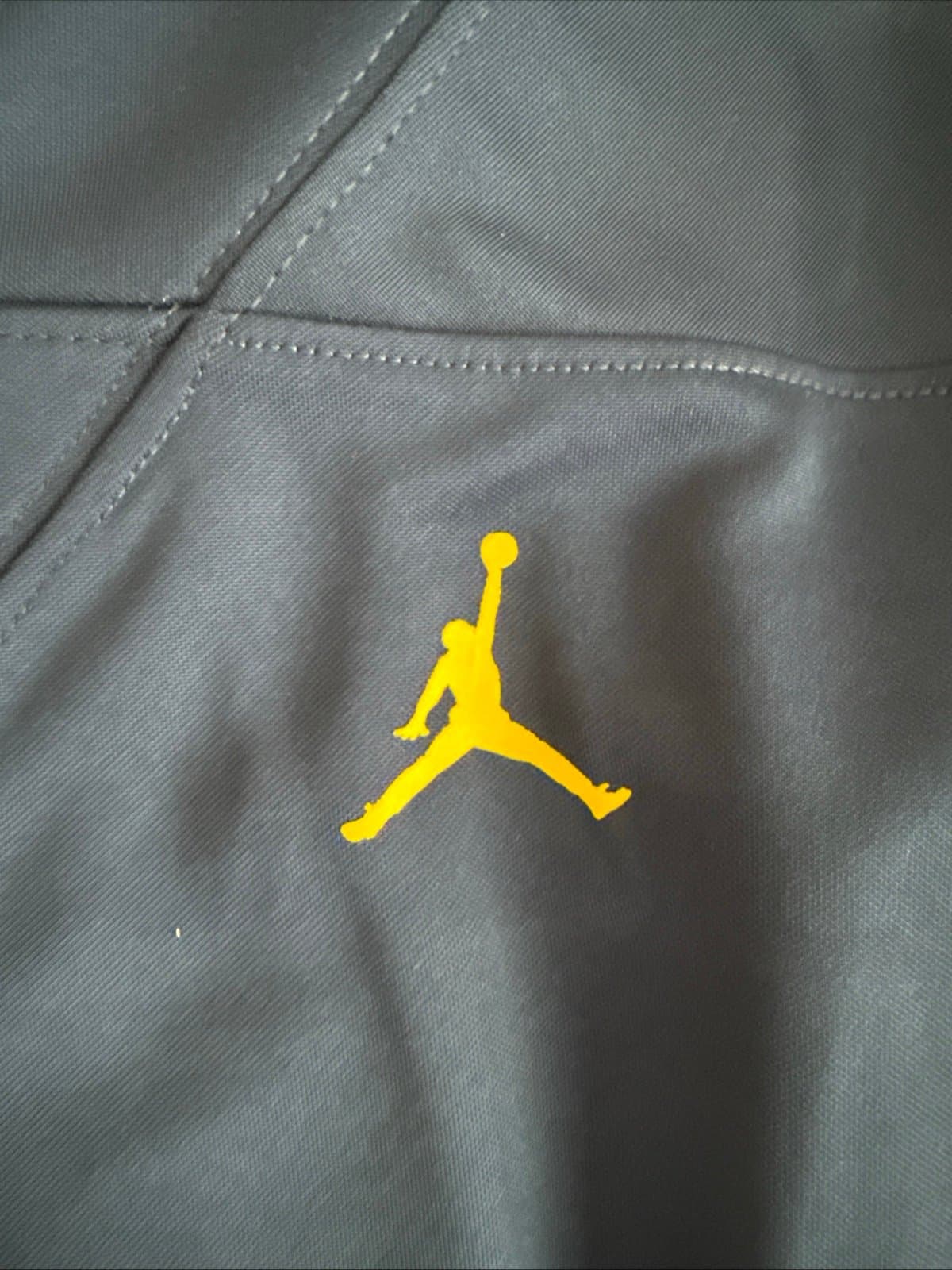 Men’s Nike Charles Woodson #2 Michigan Wolverines NCAA Jersey Sz XL - Blue RARE - Thumbnail 5