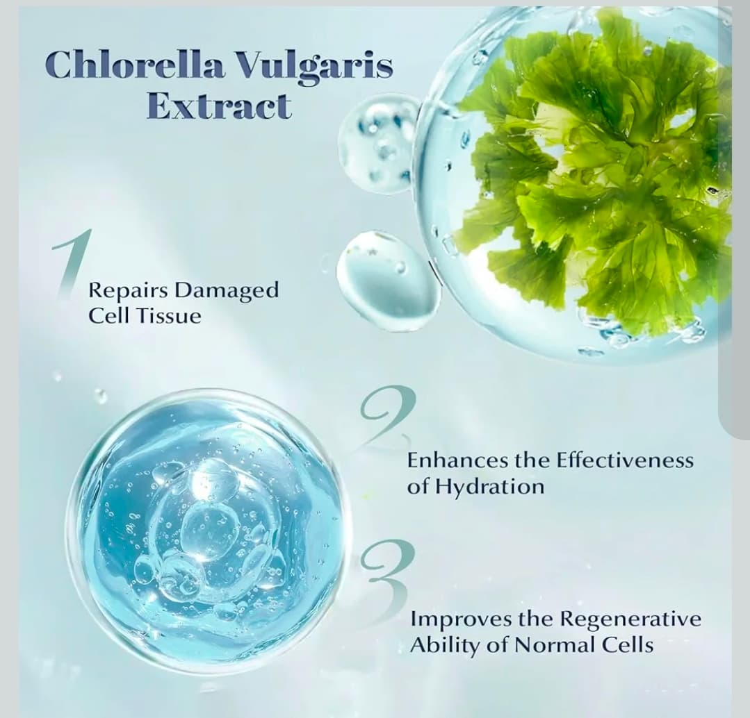 Jucundus Chlorella Deep Hydrating Face Mask 28ml Single Use Pack - Thumbnail 4