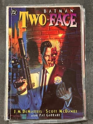 DC Batman Two Face Graphic Novel J M DeMatteis Scott McDaniel Paperback Used - Image 1