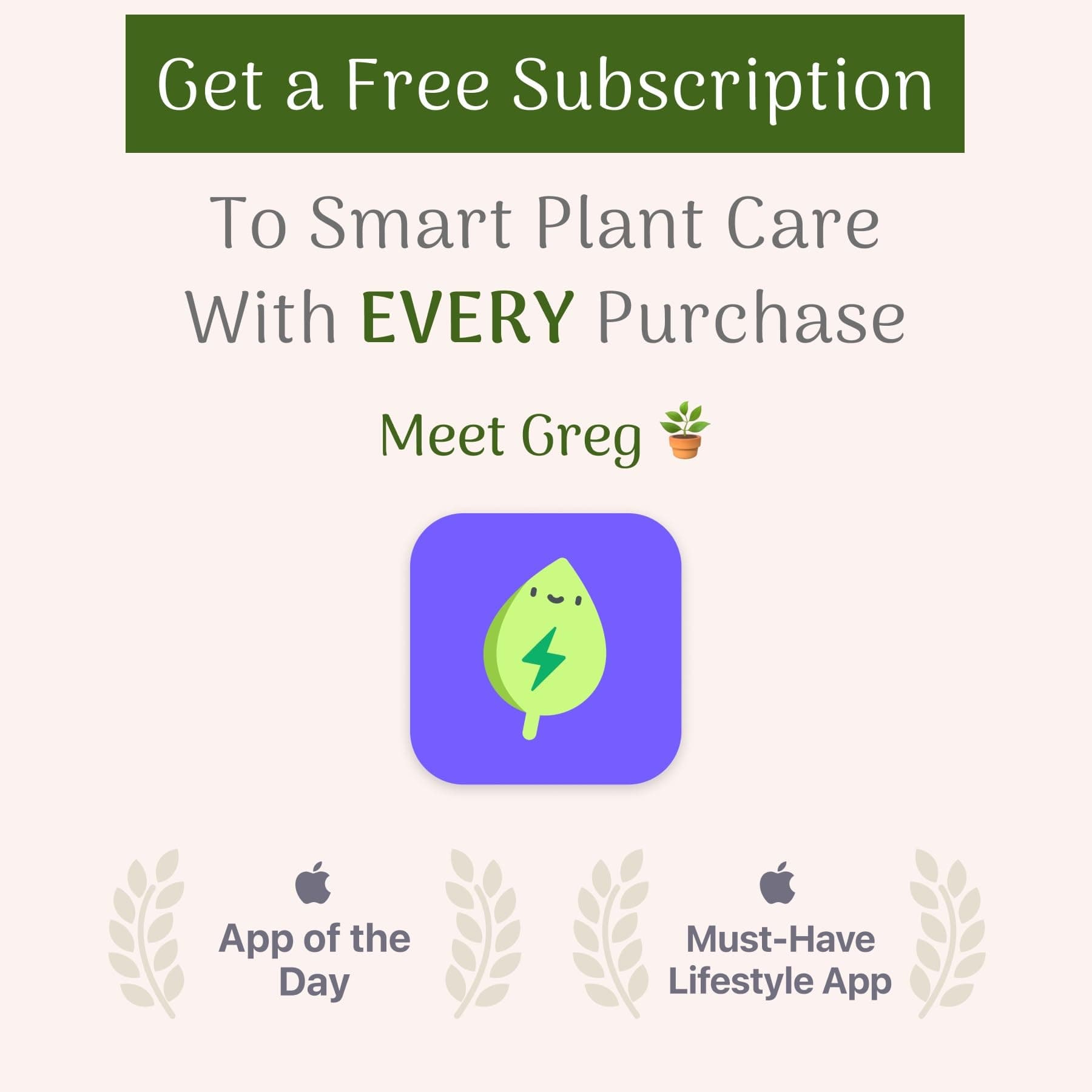 American Plant Exchange Cast Iron Plant – Live 6-Inch Potted Evergreen, Low-Main - Thumbnail 6