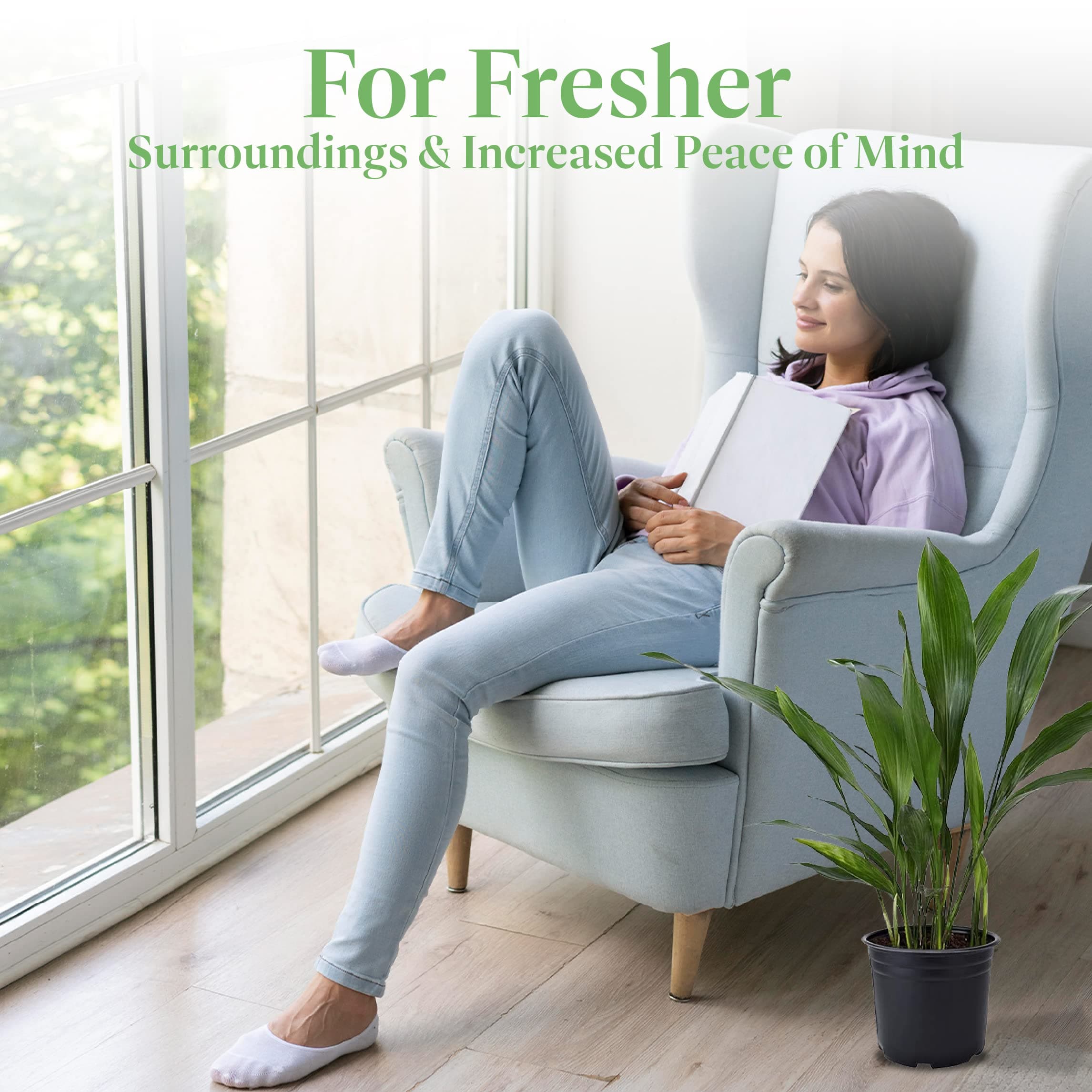 American Plant Exchange Cast Iron Plant – Live 6-Inch Potted Evergreen, Low-Main - Thumbnail 7