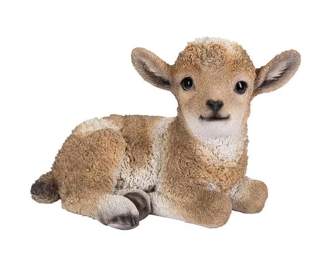 Hi-Line Gift Ltd. Small Brown & White Baby Lamb Lying Down - Thumbnail 5