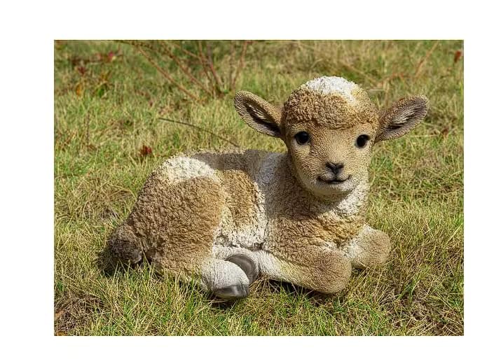 Hi-Line Gift Ltd. Small Brown & White Baby Lamb Lying Down - Thumbnail 7
