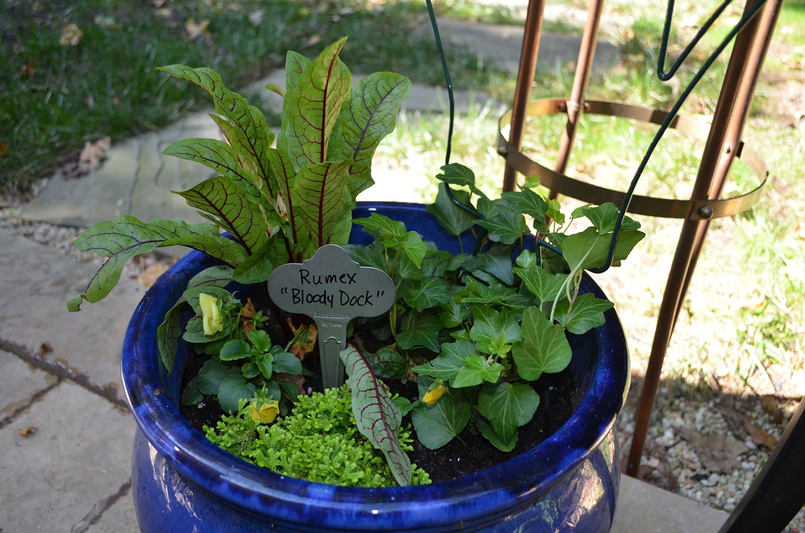 Bosmere Wren Professional 6-1/2-Inch Stainless Steel Re-Usable Plant Labels, 12- - Thumbnail 3