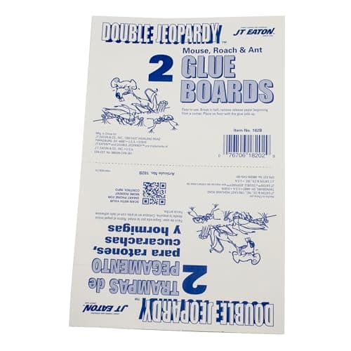 Double Jeopardy Flat Glue Board – 8.5" x 5.25" – High-Strength Rodent and Insect - Thumbnail 3