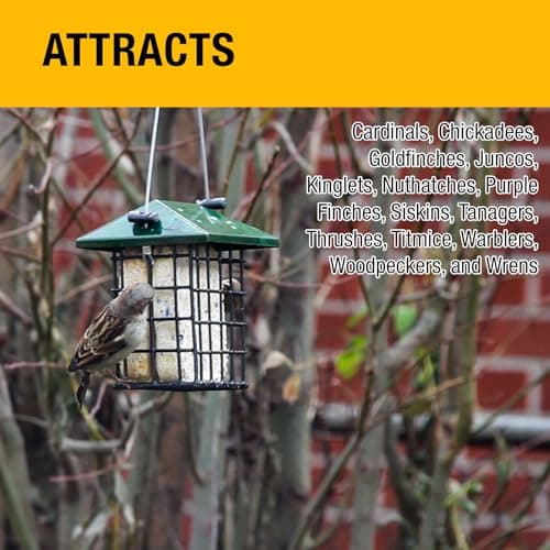 Heath Outdoor Products Peanut Patty All Season No Mess Suet Cake Birders Pack, F - Thumbnail 2