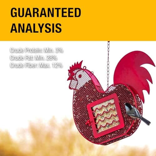 Heath Outdoor Products Peanut Patty All Season No Mess Suet Cake Birders Pack, F - Thumbnail 4