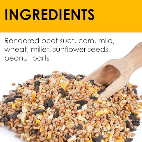 Heath Outdoor Products Peanut Patty All Season No Mess Suet Cake Birders Pack, F - Thumbnail 3