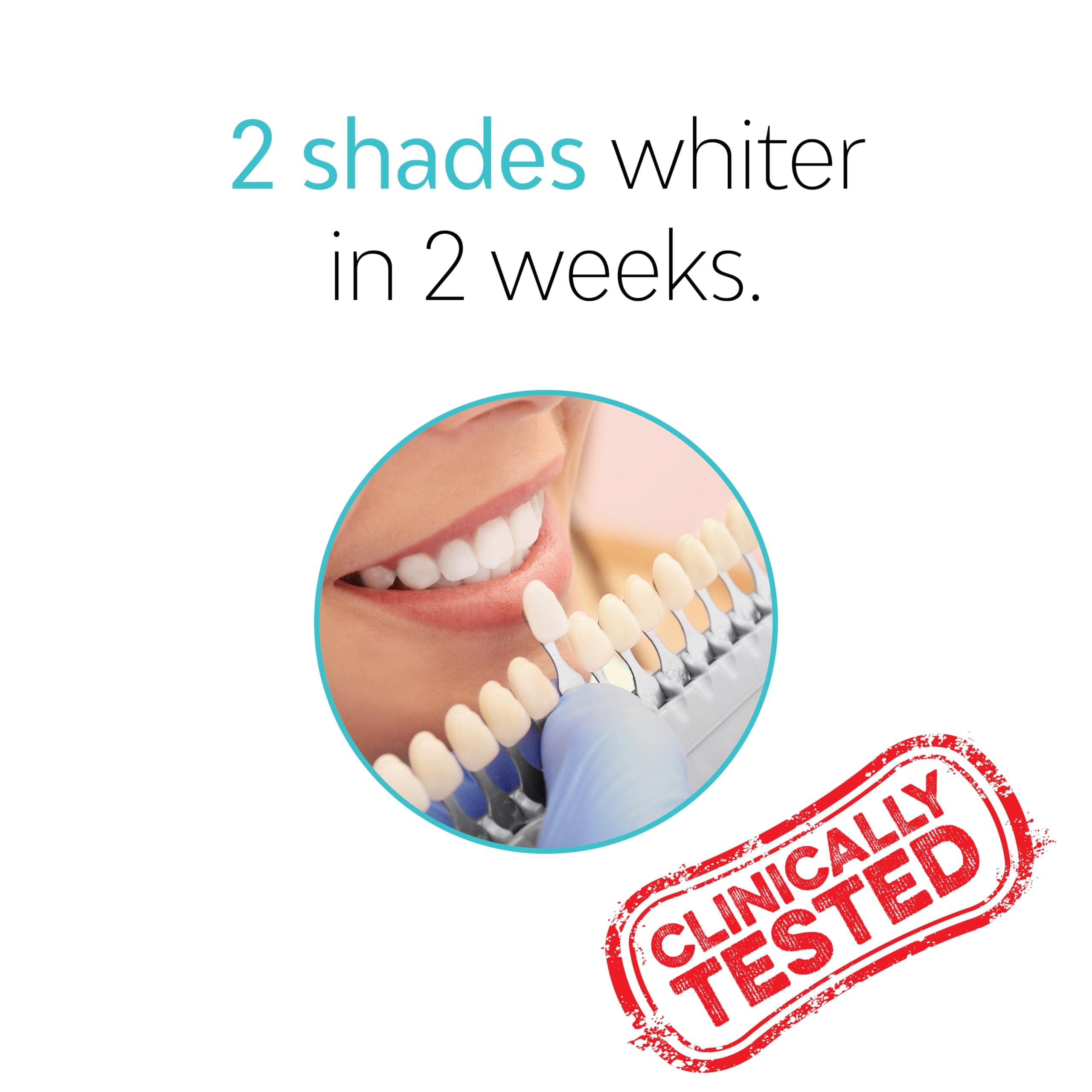 TAO Clean Daily Care Whitening Replacements Heads - Black - 2 Pack - Thumbnail 7