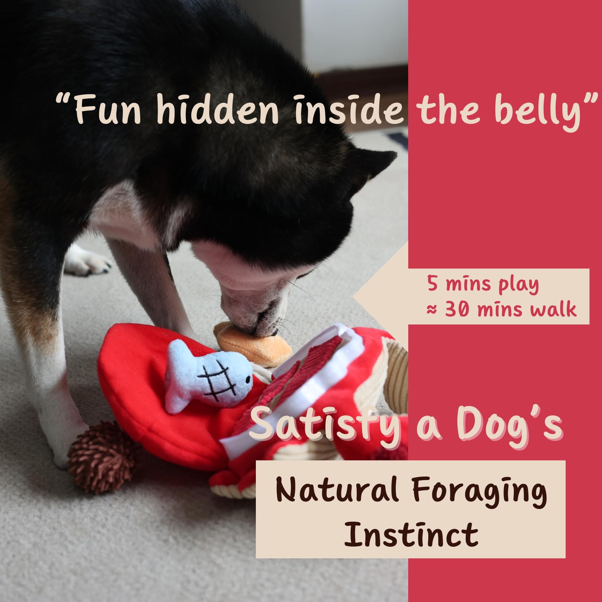 Pawfoo Lab Squeaky Dog Toy, Interactive Plush Hide and Seek Puppy Toys to Keep T - Thumbnail 6