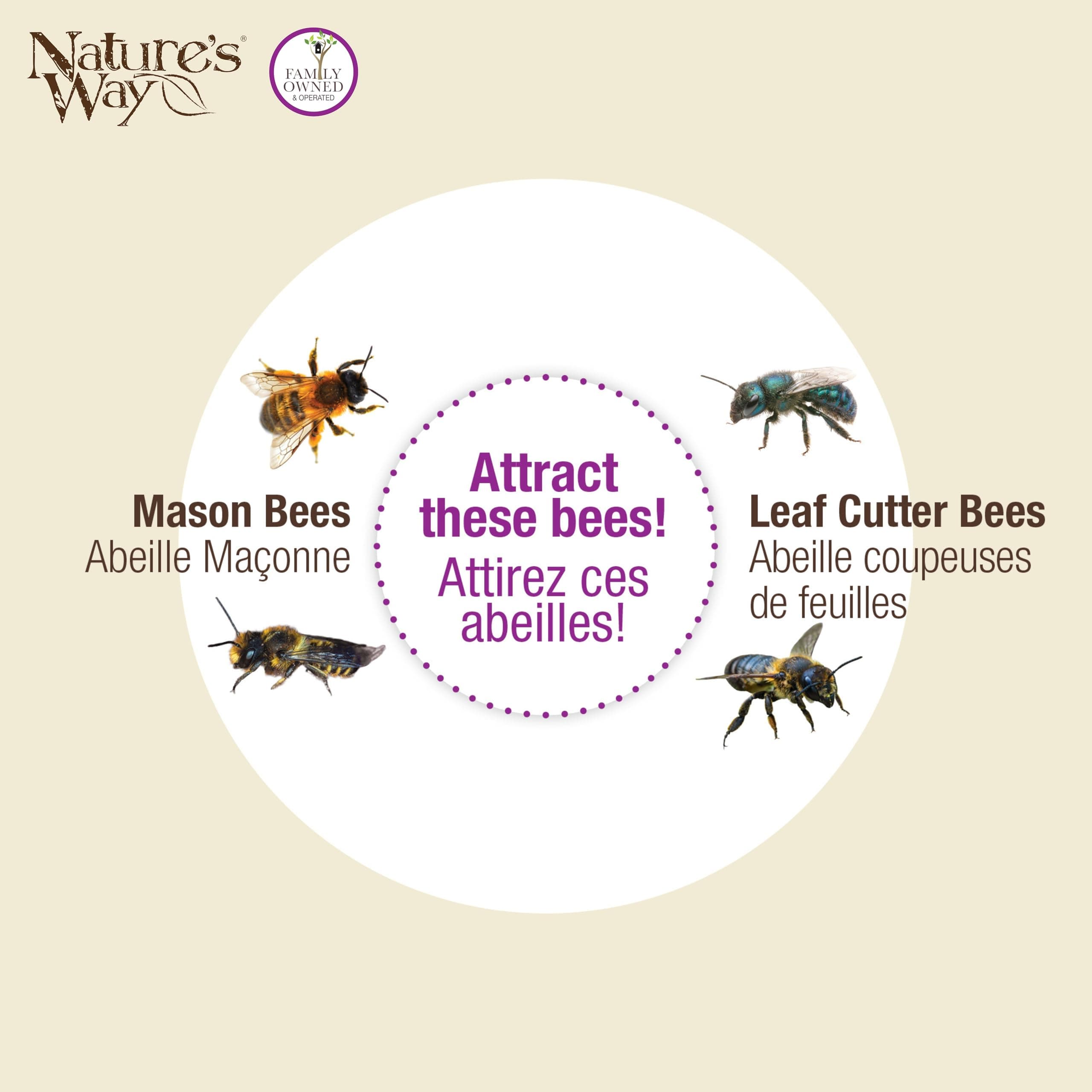 Nature's Way Wooden Bee House for Outdoor Décor, Beneficial Insects and Pollinat - Thumbnail 6