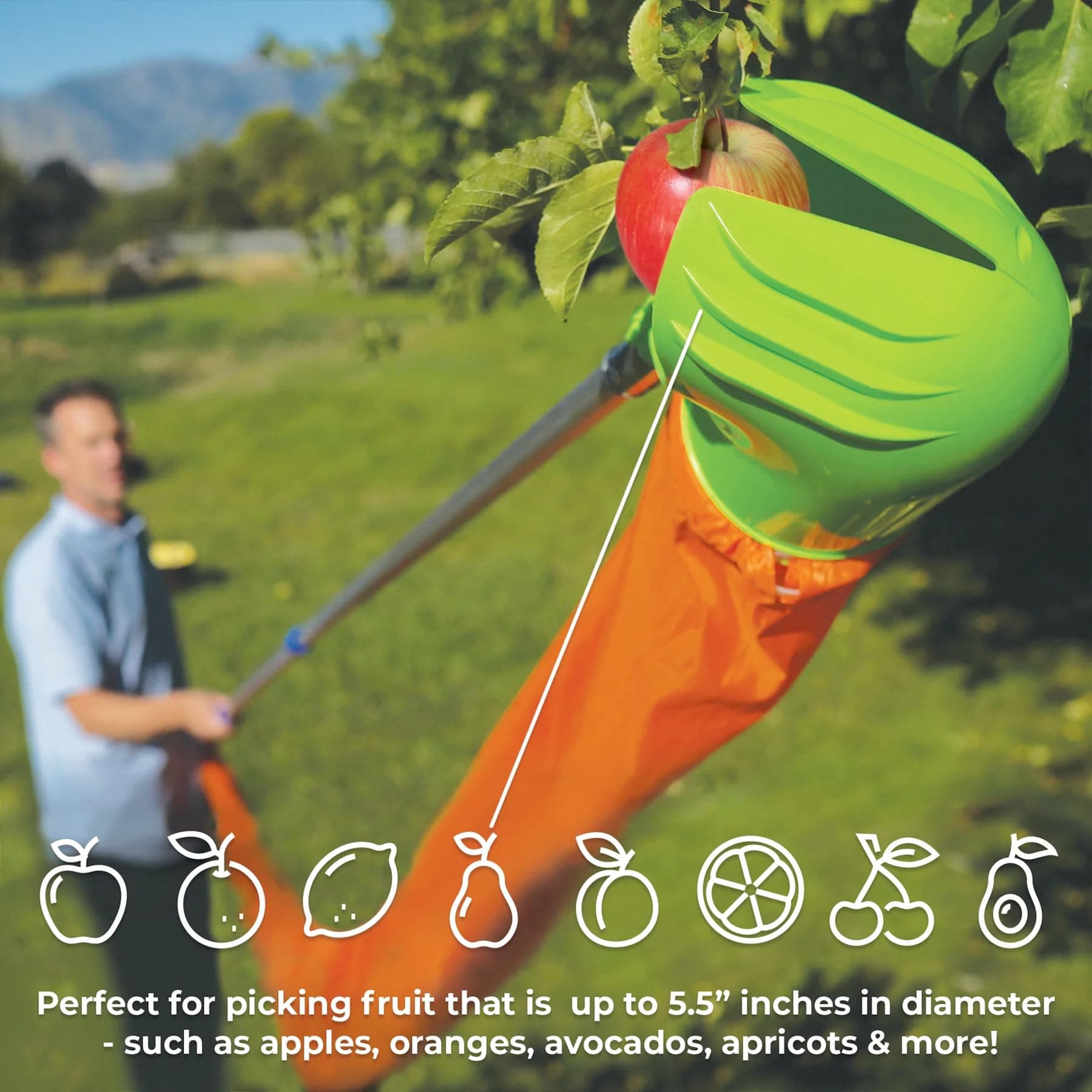 Easy Pickins EP-FH-1 Fruit Picker Basket with Funnel, Green - Thumbnail 5