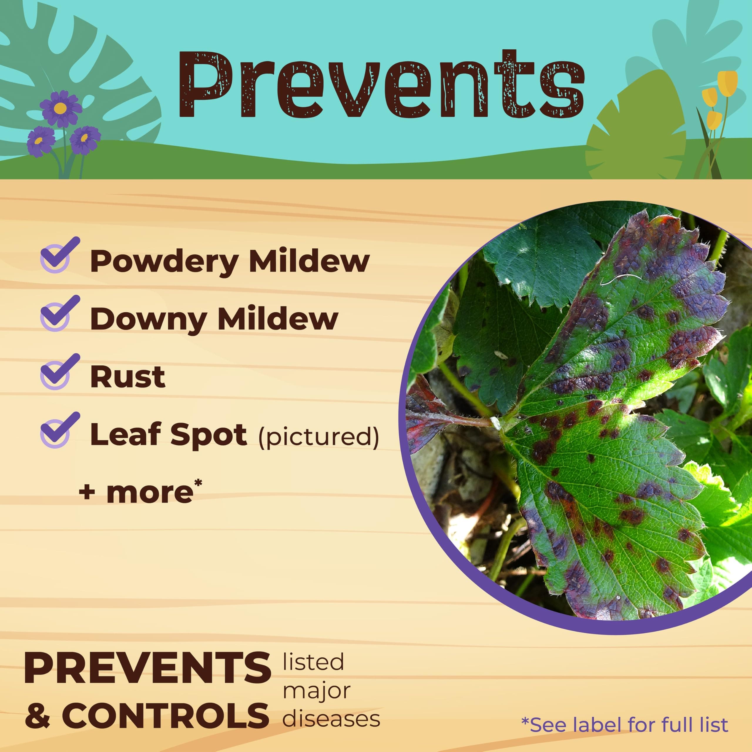 Bonide Captain Jack's Neem Max, 16 oz Ready-to-Spray Cold Pressed Neem Oil, Mult - Thumbnail 6