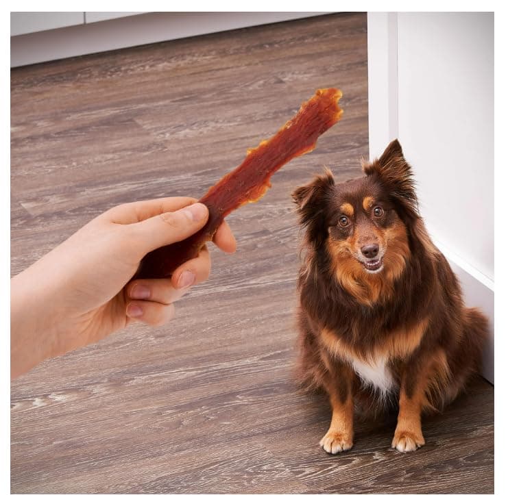 Golden Rewards Duck Jerky Premium Treats for Dogs, 16 oz Bag - Thumbnail 2