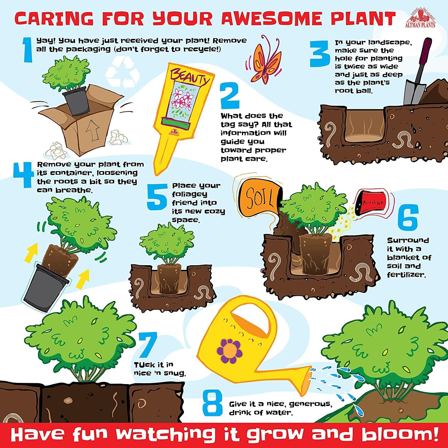 1G Silverado Sage Plant, Shrubs Live in Planters for Outdoor Plants Live, Live P - Thumbnail 8