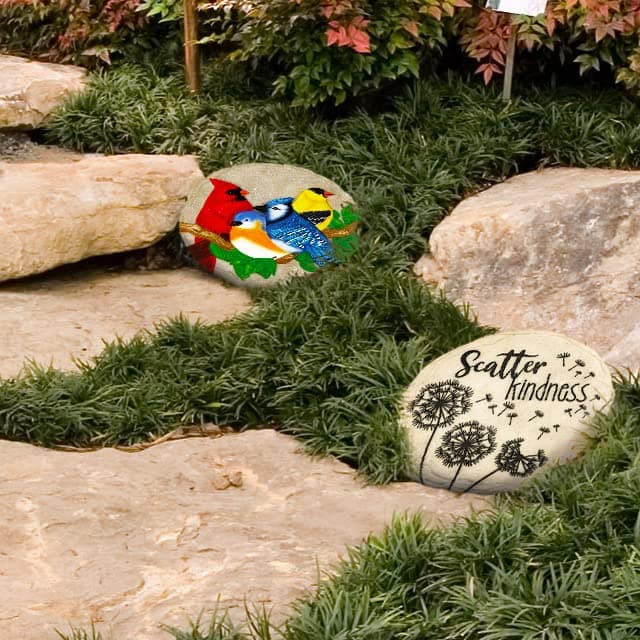 Spoontiques - Garden Décor - Bright Birds Stepping Stone - Decorative Stone for - Thumbnail 7