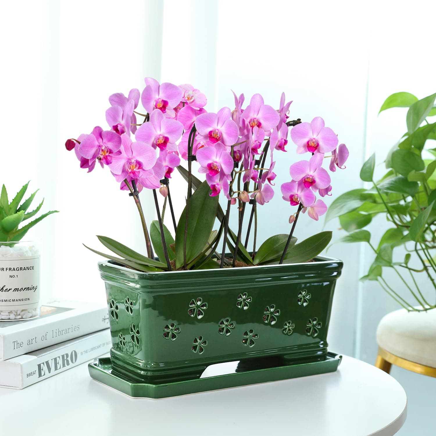 Lovely Ran 12Inch Green Ceramic Orchid Pot with Holes for Repotting and Ventilat - Thumbnail 3