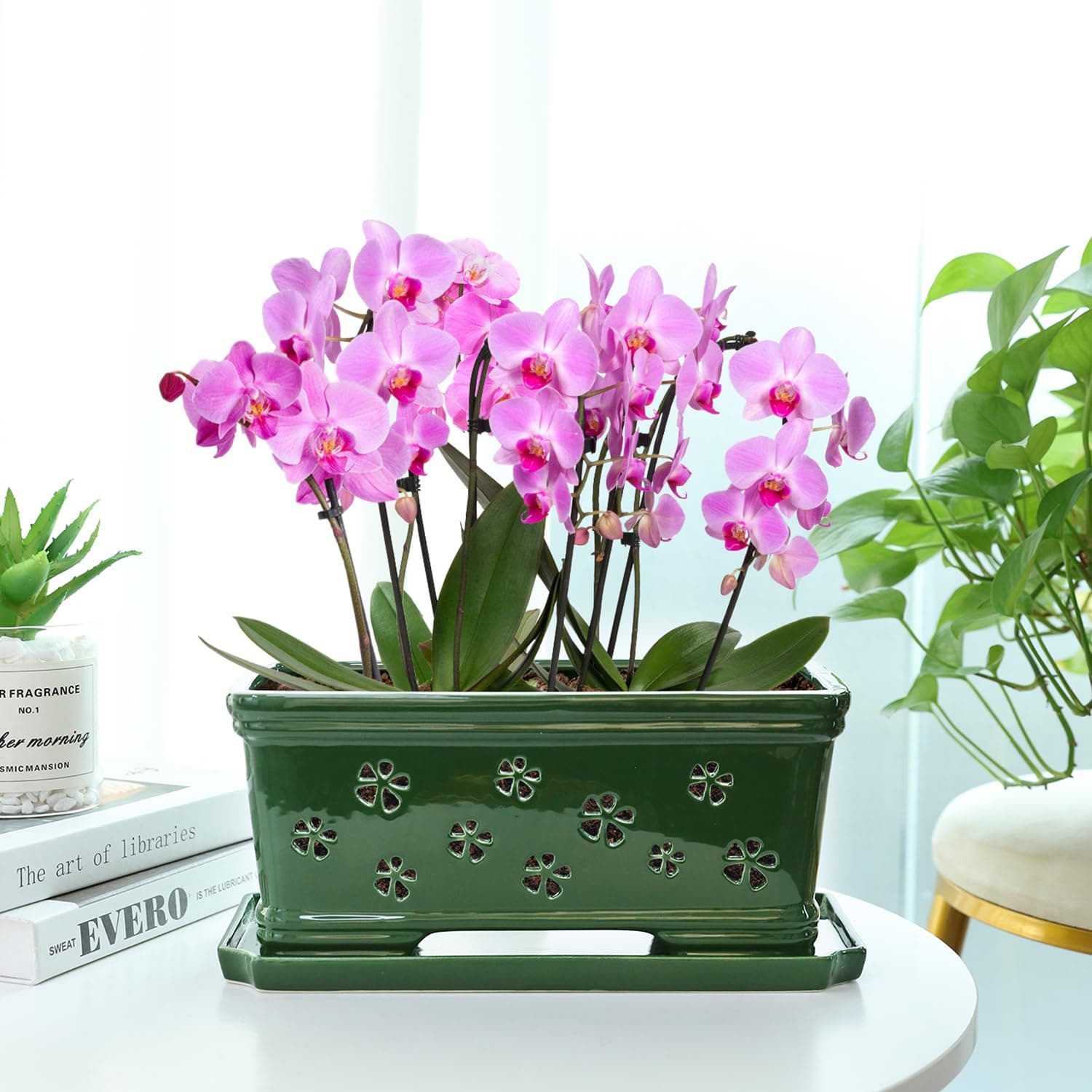 Lovely Ran 12Inch Green Ceramic Orchid Pot with Holes for Repotting and Ventilat - Thumbnail 5