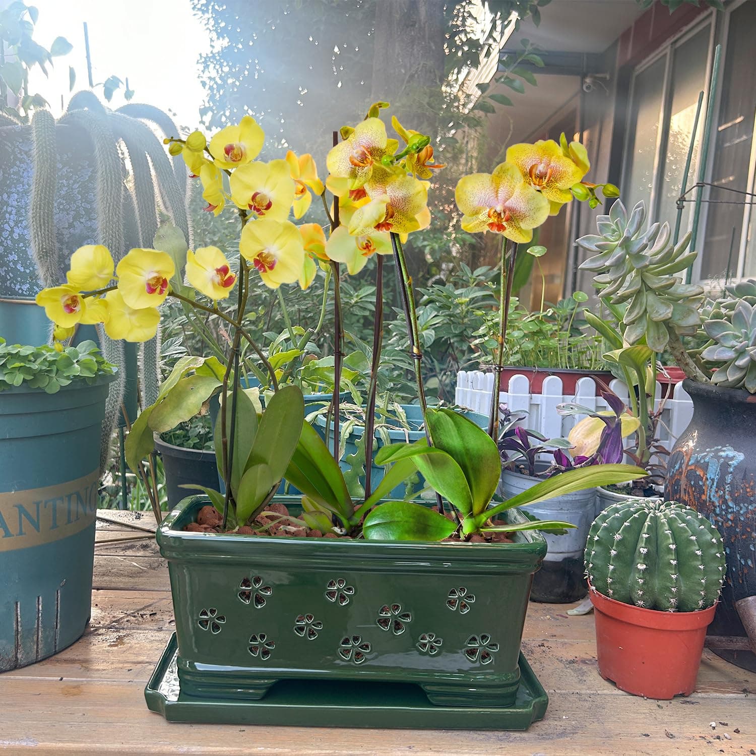 Lovely Ran 12Inch Green Ceramic Orchid Pot with Holes for Repotting and Ventilat - Thumbnail 6