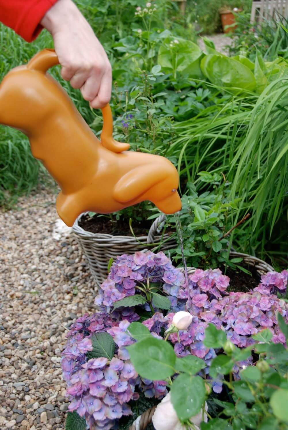 Esschert Design Watering Can - Dachshund - Thumbnail 2