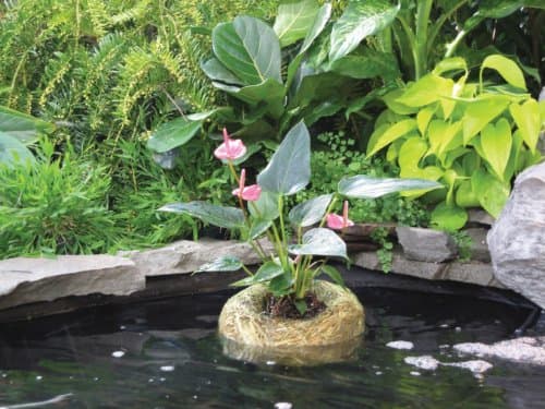 Summit 1139 Clear-Water Barley Straw Planter, Treats up to 1500-Gallons - Thumbnail 2