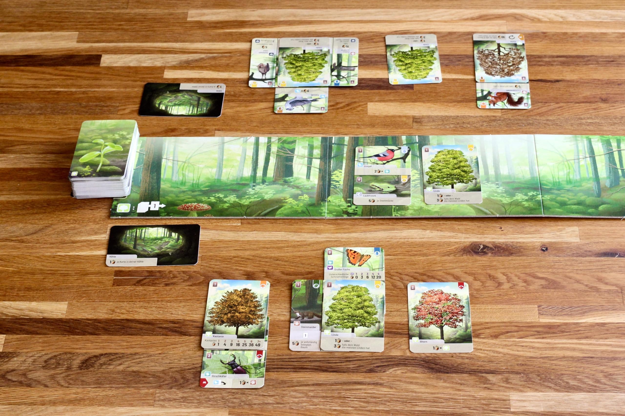 Lookout Games Forest Shuffle Card Game - Create an Ecological Paradise! Clever S - Thumbnail 4
