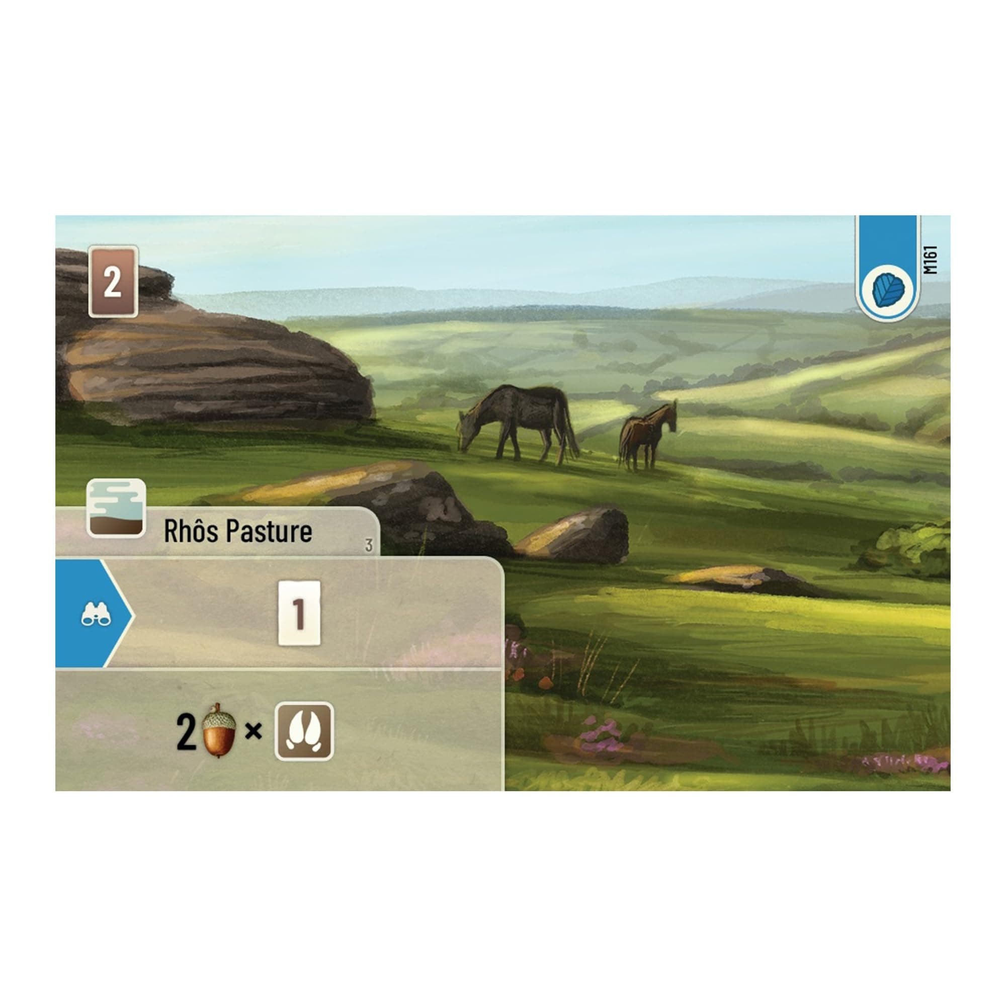 Forest Shuffle Dartmoor Card Game - Build Habitats, Place Trees & Attract Fauna - Thumbnail 8