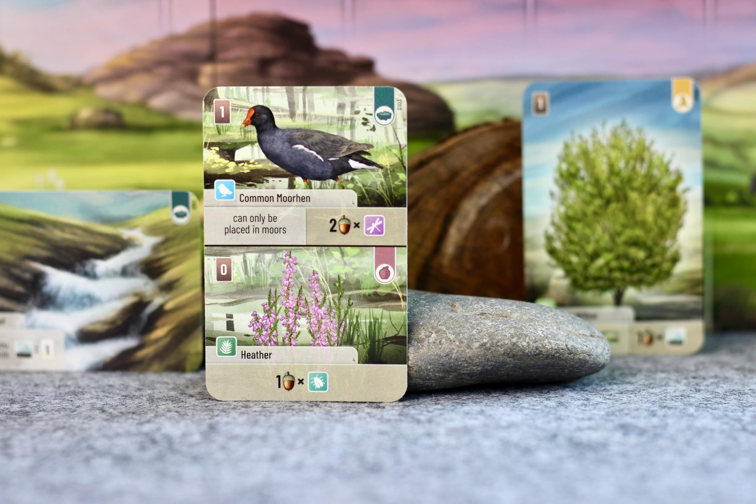Forest Shuffle Dartmoor Card Game - Build Habitats, Place Trees & Attract Fauna - Thumbnail 5
