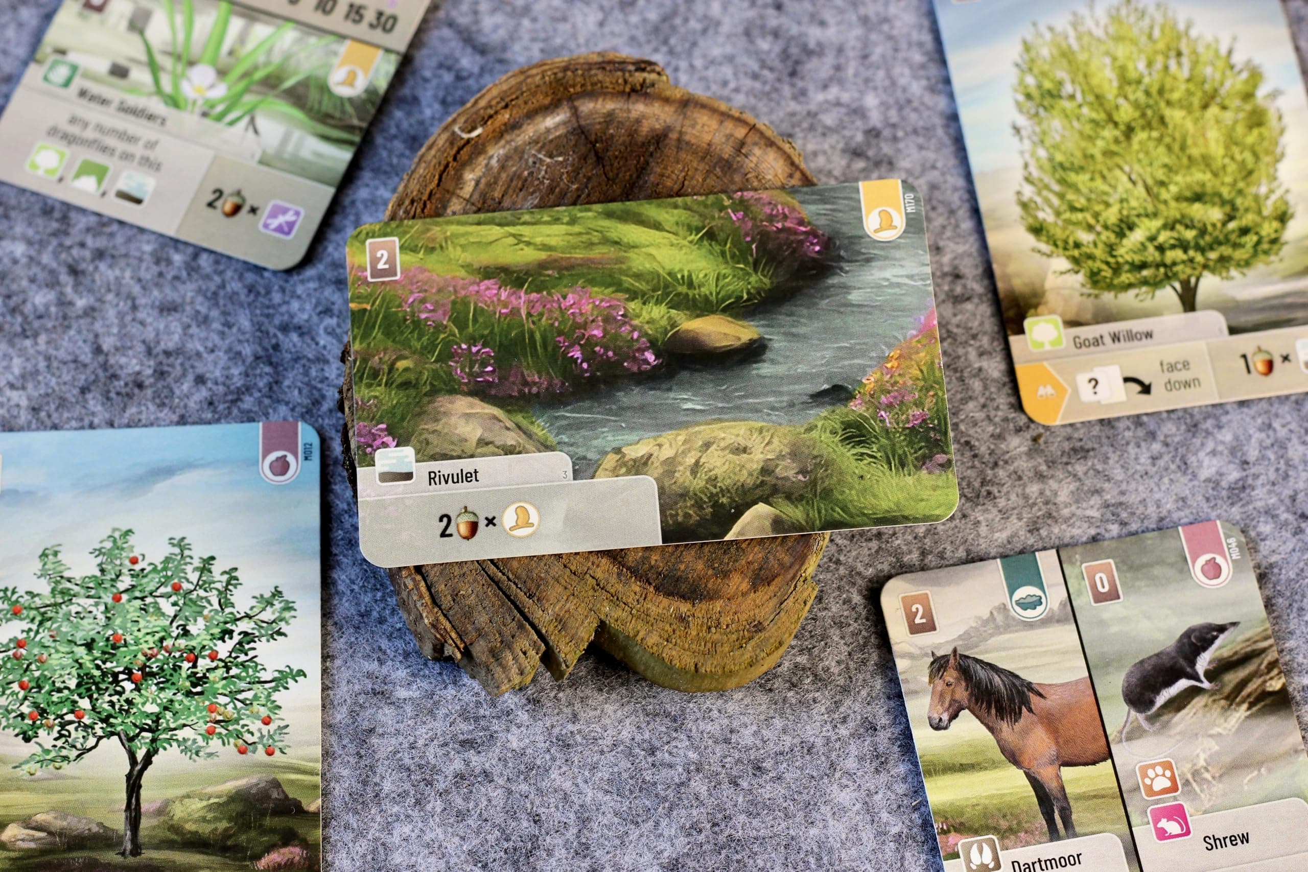 Forest Shuffle Dartmoor Card Game - Build Habitats, Place Trees & Attract Fauna - Thumbnail 3
