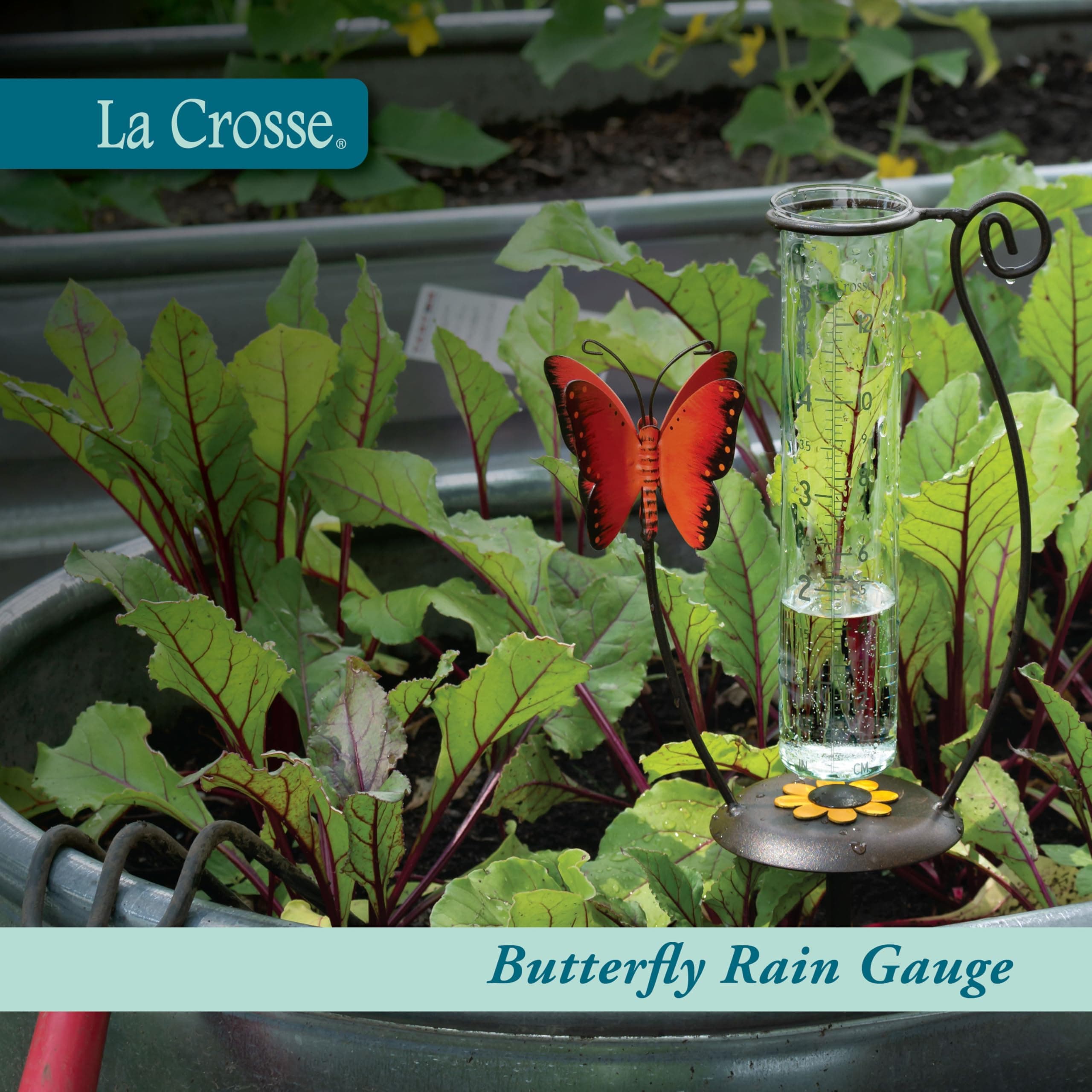 La Crosse 704-13077-INT 5 inch Capacity Glass Orange Butterfly Rain Gauge - Thumbnail 2
