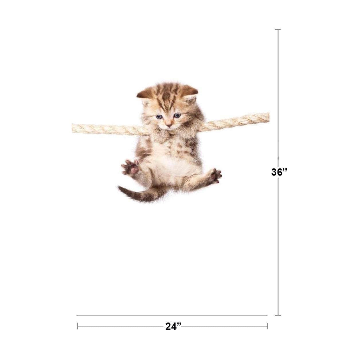 Cute Kitty Cat Hanging On To Rope Photo Hang in There Cat Poster Funny Wall Post - Thumbnail 4
