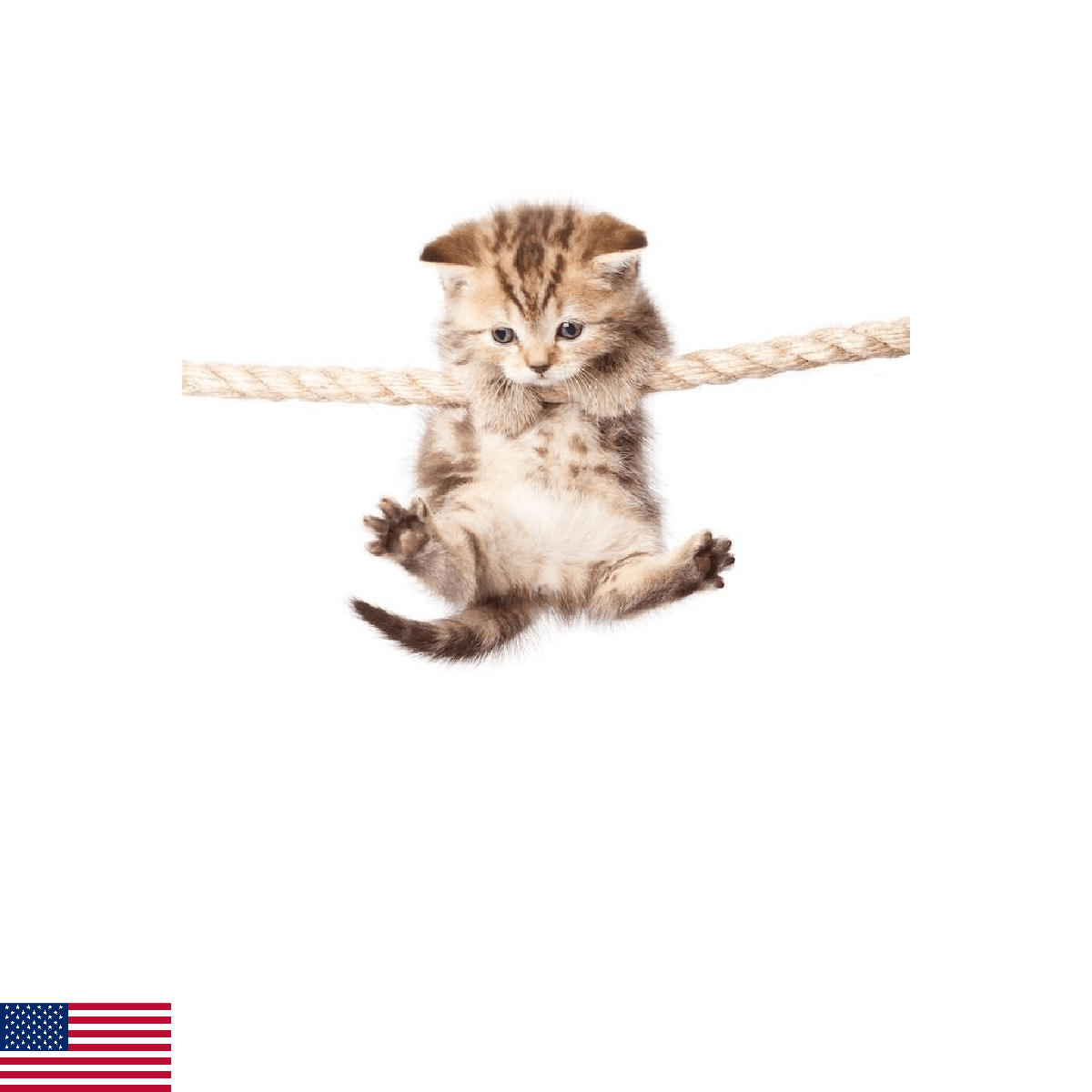Cute Kitty Cat Hanging On To Rope Photo Hang in There Cat Poster Funny Wall Post - Image 1