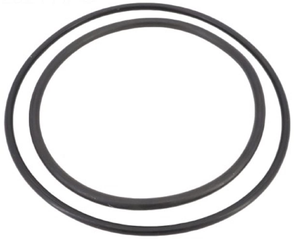 Pentair ZBR12200 Oring Rplcmnt - Thumbnail 4