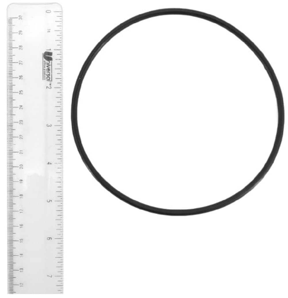 Pentair ZBR12200 Oring Rplcmnt - Thumbnail 3