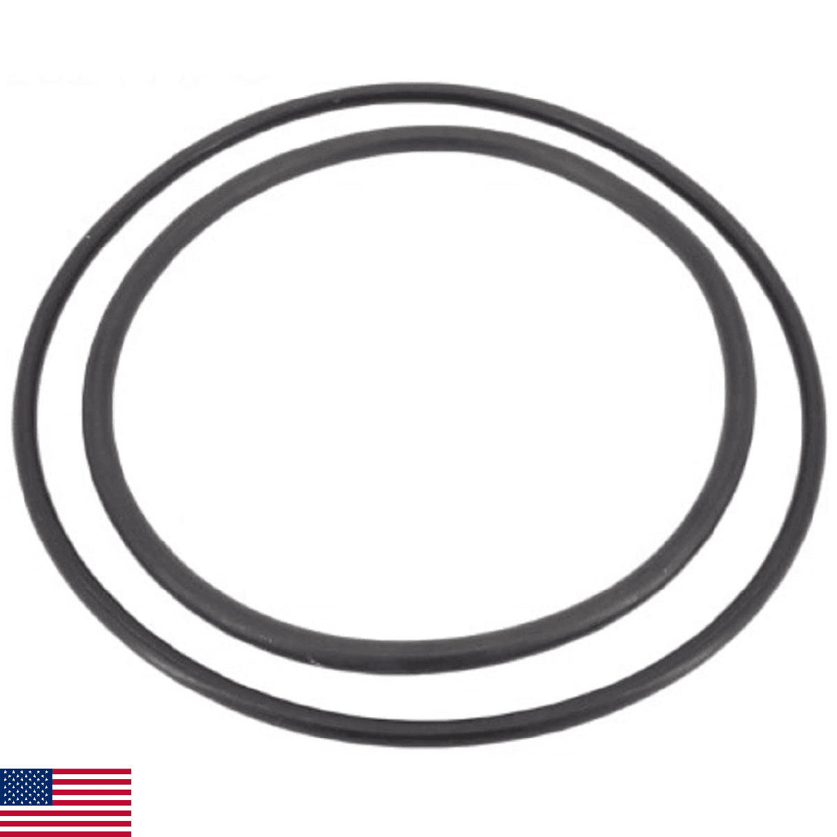 Pentair ZBR12200 Oring Rplcmnt - Image 1