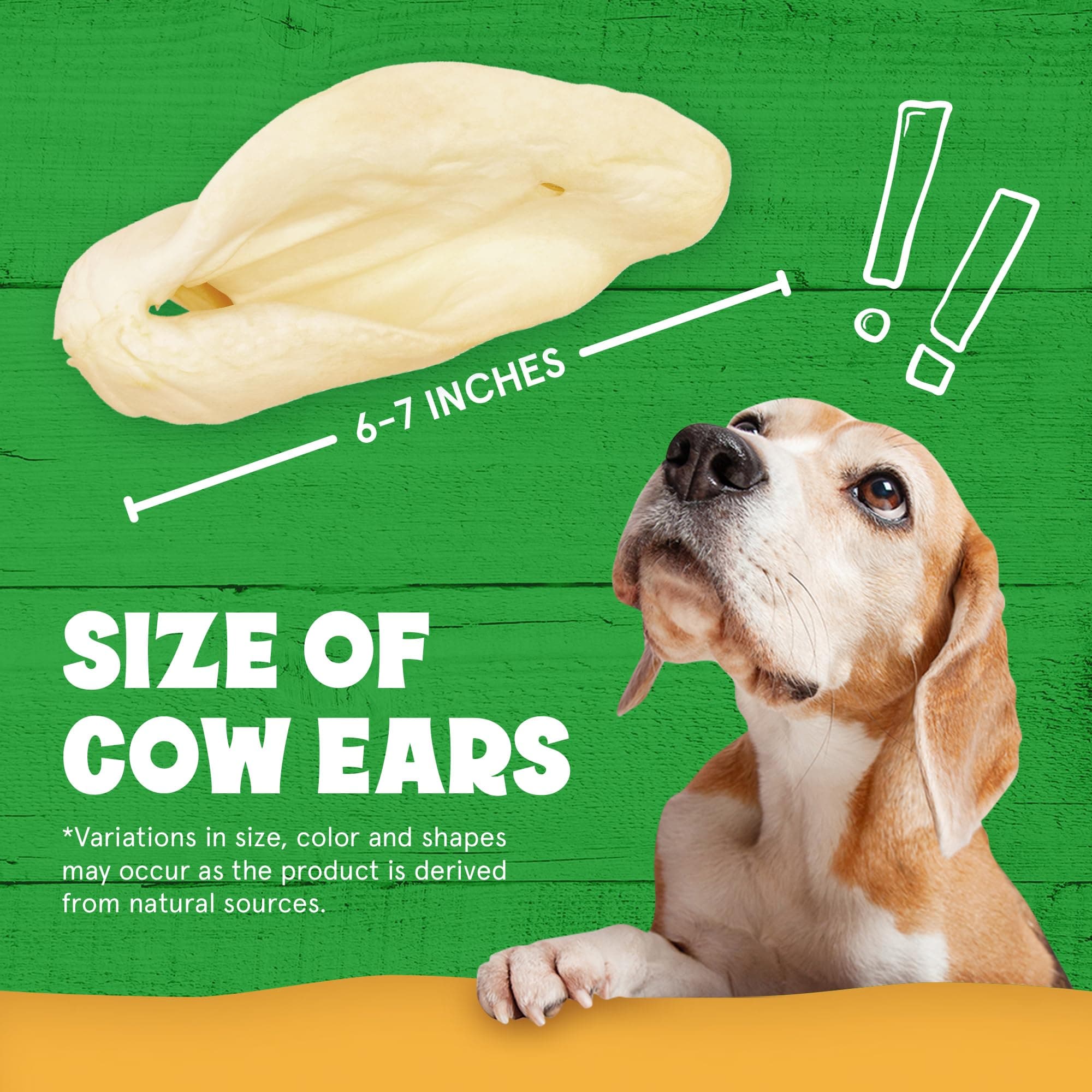 Cows Ears for Dogs, Thick and Large Dog Ears, Single Ingredient and No Odor Cow - Thumbnail 4