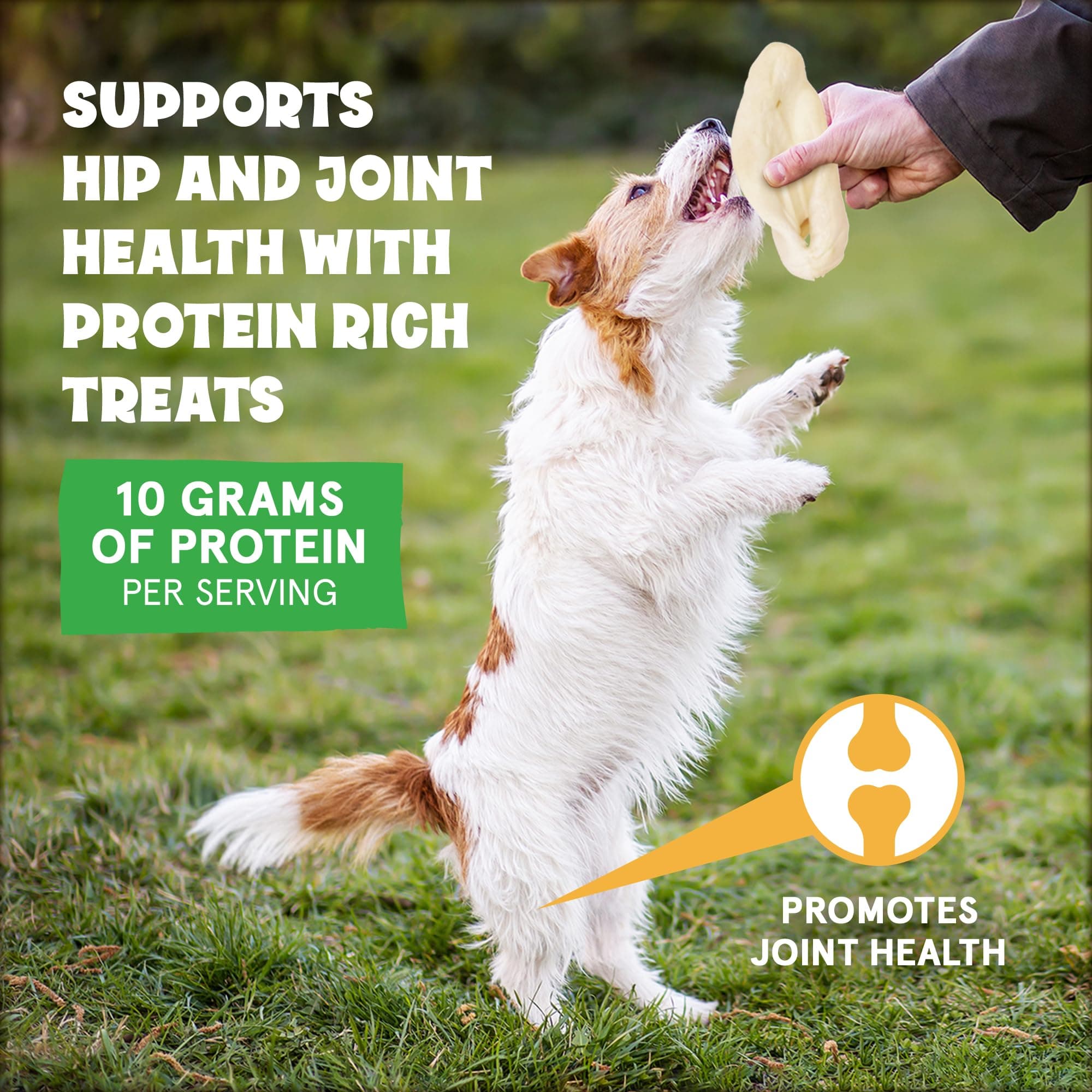 Cows Ears for Dogs, Thick and Large Dog Ears, Single Ingredient and No Odor Cow - Thumbnail 5