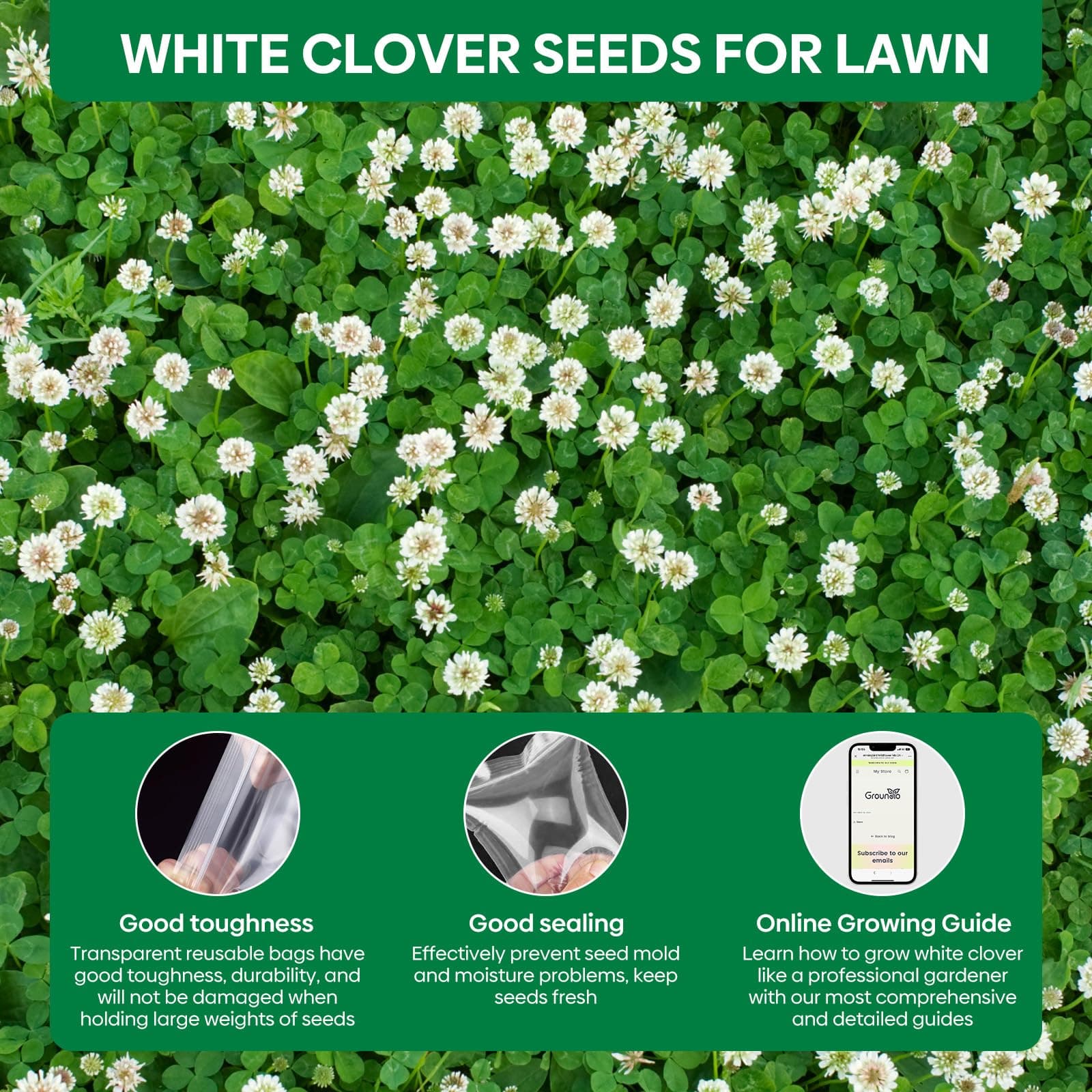 Groundio White Clover Seeds, 5 lbs, Perennial White Dutch Clover Seed for Lawn, - Thumbnail 6