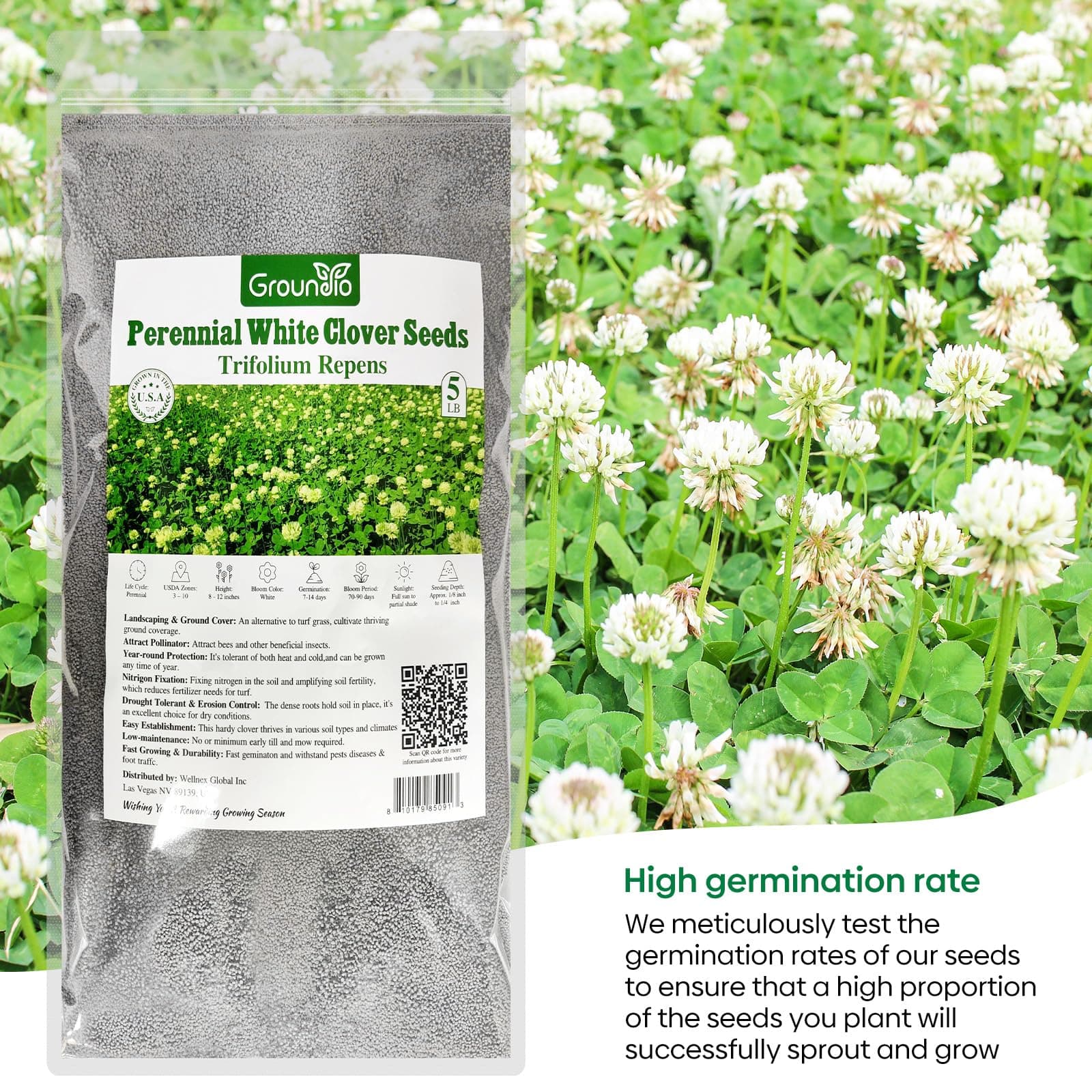 Groundio White Clover Seeds, 5 lbs, Perennial White Dutch Clover Seed for Lawn, - Thumbnail 4