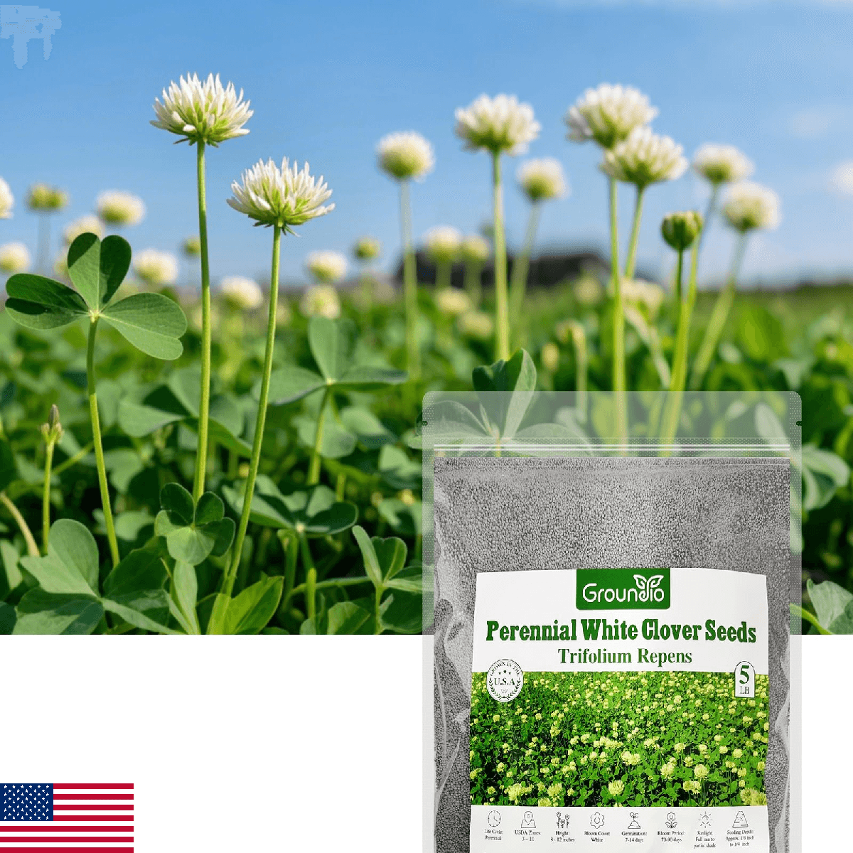 Groundio White Clover Seeds, 5 lbs, Perennial White Dutch Clover Seed for Lawn, - Image 1