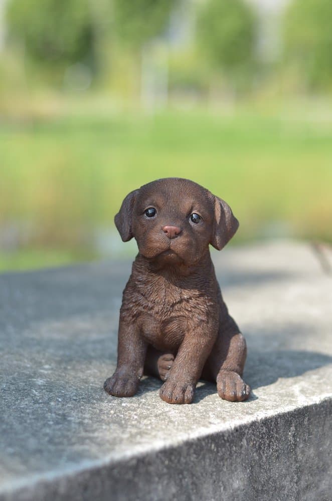 Hi-Line Gift Ltd Labrador Puppy Statue, Chocolate Brown - Thumbnail 3