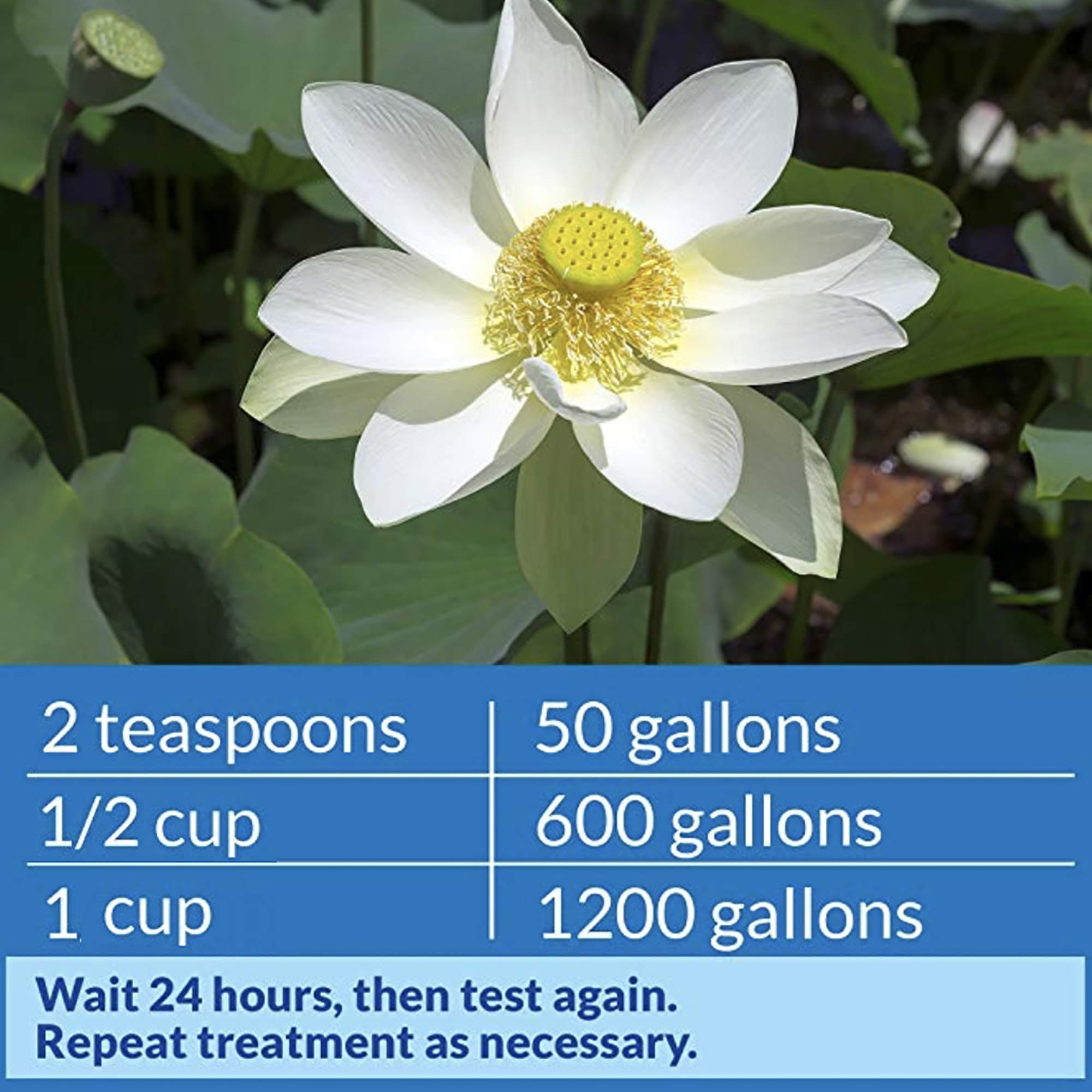 API POND pH UP Pond Water pH Raising Solution 16-Ounce Bottle - Thumbnail 5