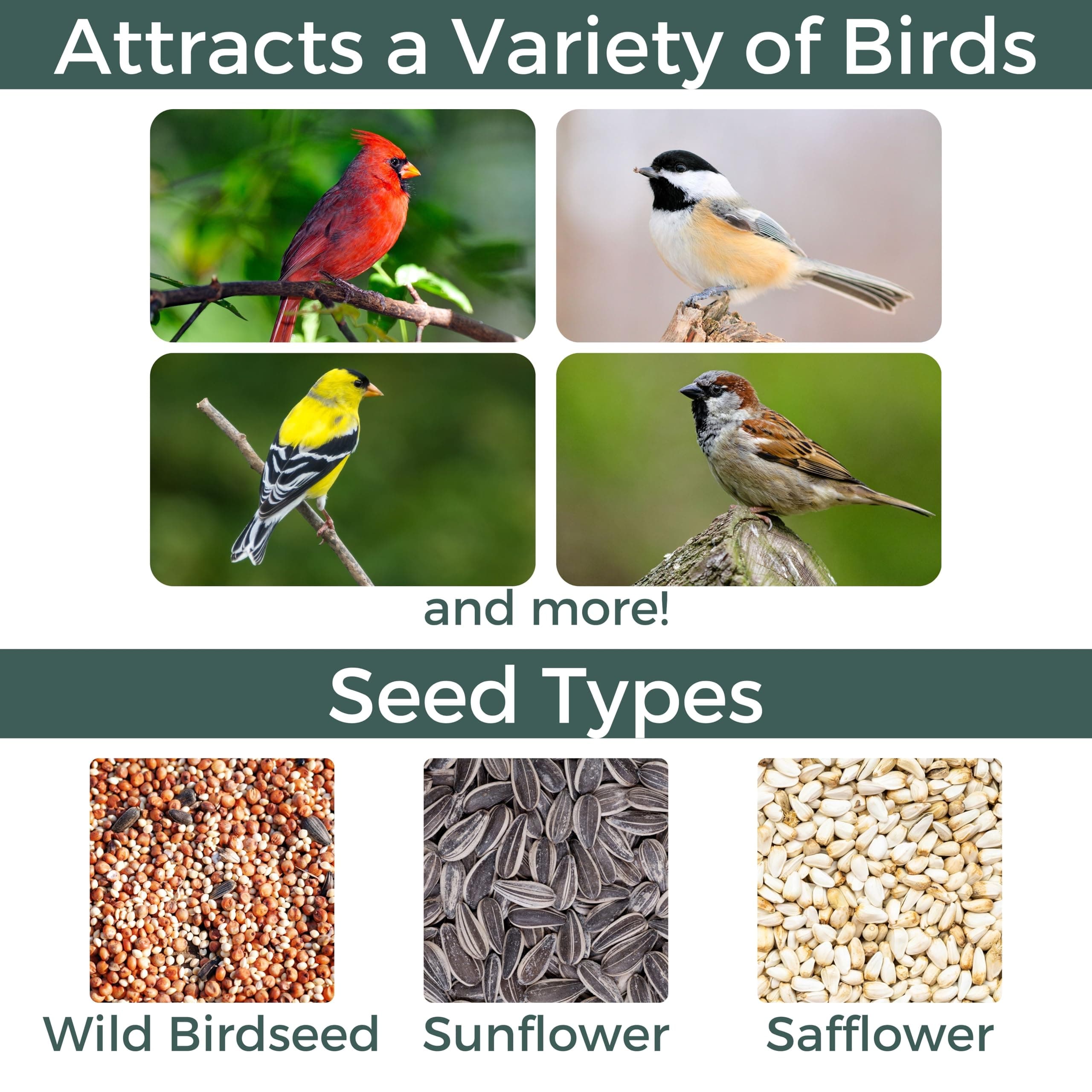 North States Village Collection - Antique Store Birdfeeder for Outdoors, Holds 6 - Thumbnail 8