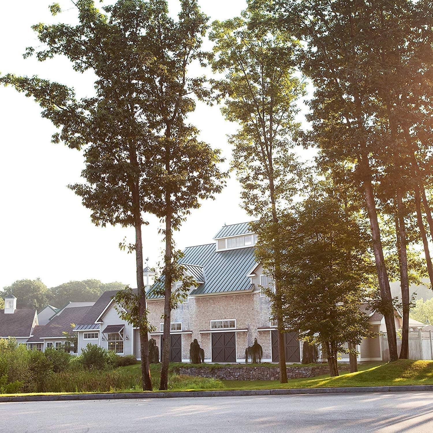 Village Candle Black Bamboo Large Glass Apothecary Jar, Scented Candle, 21.25 oz - Thumbnail 5