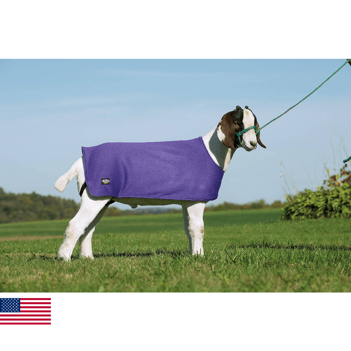Weaver Leather Sheep and Goat Underblanket Extra Small/Small Purple - Image 1