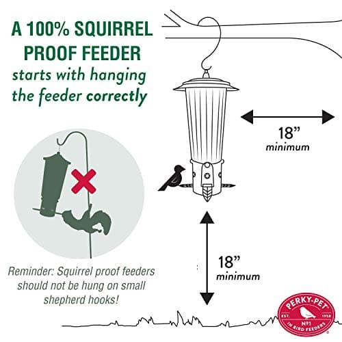 Perky-Pet 334-1SR Squirrel-Be-Gone Max Bird Feeder w/ Flexports, Squirrel Proof - Thumbnail 12