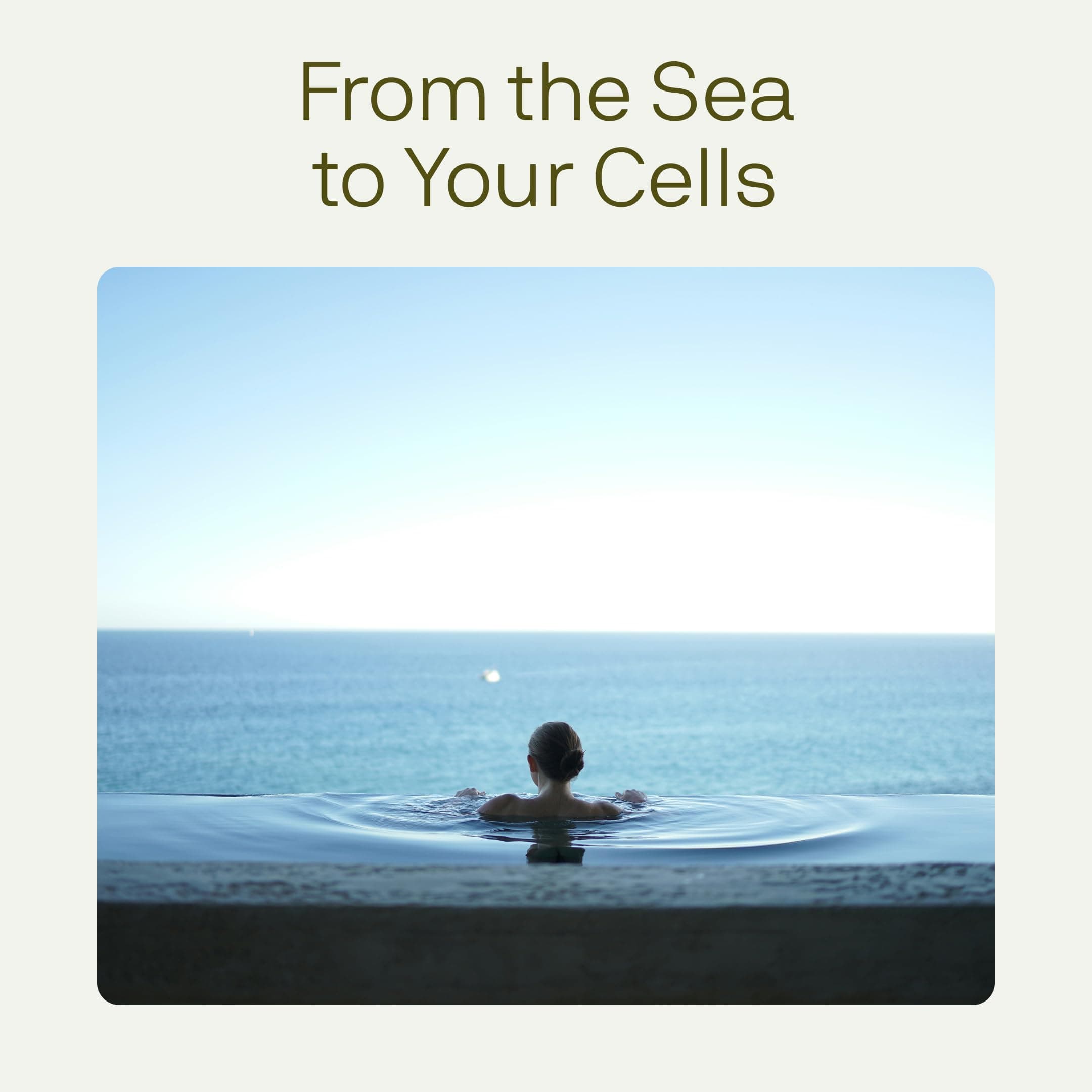 Nutriissa Full Spectrum Omega-3 – 2000 mg Oil Blend (Krill, Cod & Salmon Oil) – - Thumbnail 7