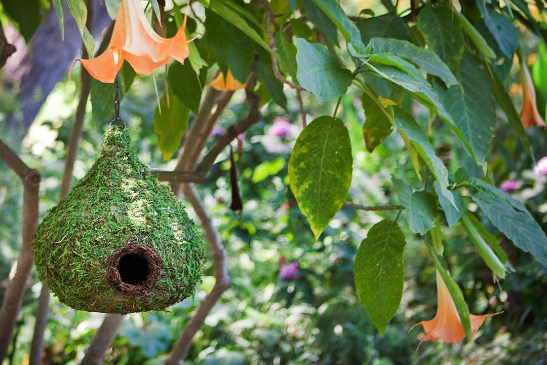 SuperMoss (56010) Raindrop Birdhouse with Chain, 10 by 13-Inch, Fresh Green - Thumbnail 5